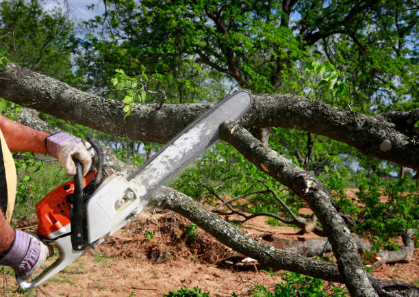 Lawn Irrigation Installation and Maintenance in Maypearl, TX